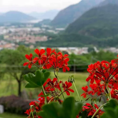 Appartement Meridiana Di Ricciano Casale Corte Cerro